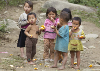 Shutterstock.com/ Stephen Bures