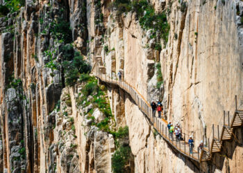 Shutterstock.com/ Dziewul