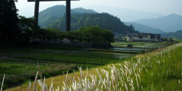 Shutterstock.com/ Petr Brezina