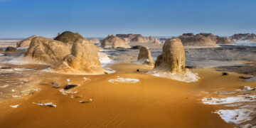 Shutterstock.com/ Michail_Vorobyev