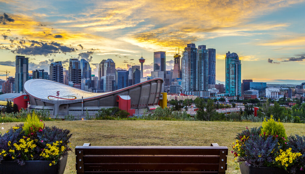 Shutterstock.com/ Mikhail Zapolskyi