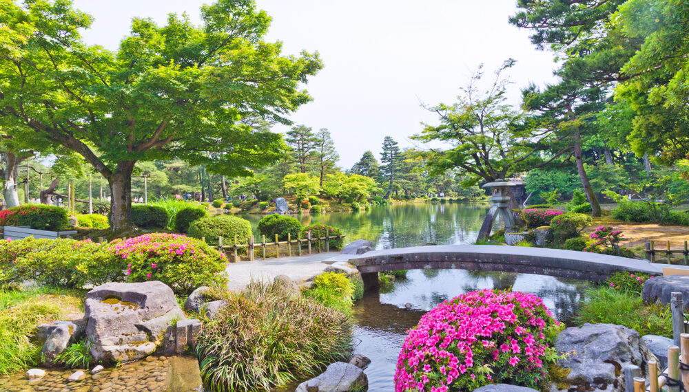 Shutterstock.com/ Tanya Jones