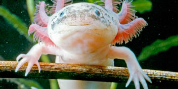 Shutterstock.com/ Arm001