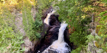 Shutterstock.com/ MS7503