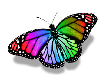 Shutterstock.com/ suns07butterfly