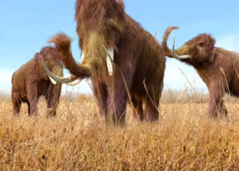 Shutterstock.com/ AuntSpray