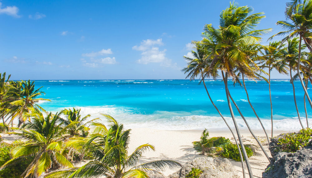 Shutterstock.com/ Filip Fuxa