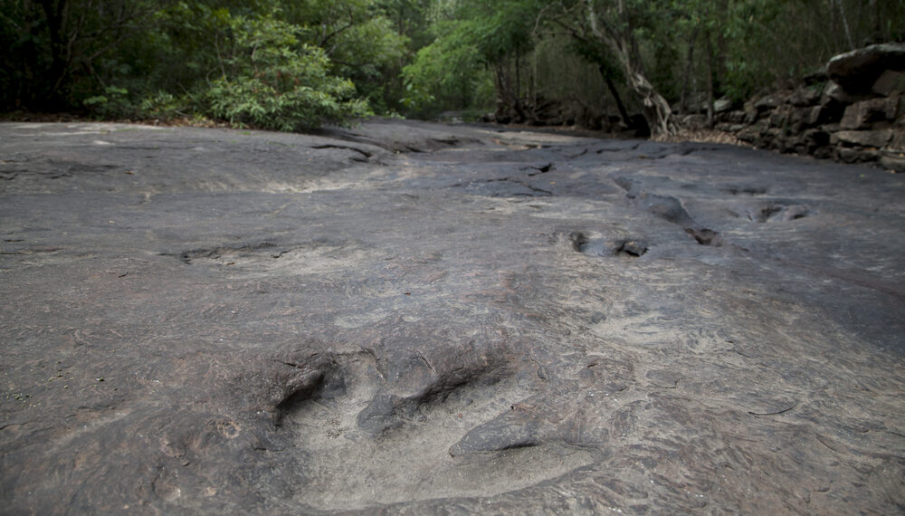 Shutterstock.com/ patarapong saraboon
