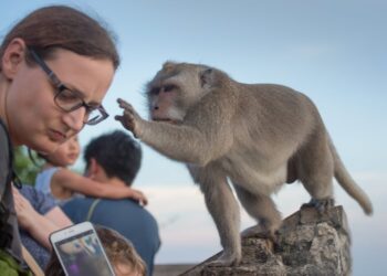 Shutterstock.com/ oOhyperblaster