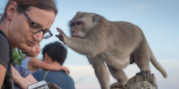 Shutterstock.com/ oOhyperblaster