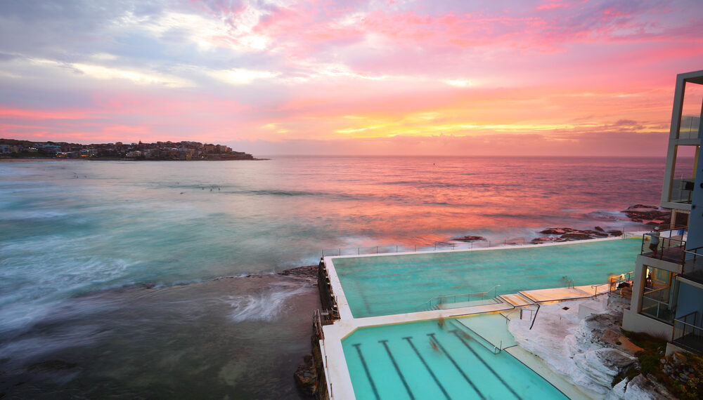 Shutterstock.com/ Leah-Anne Thompson