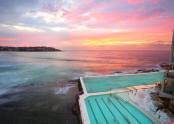 Shutterstock.com/ Leah-Anne Thompson