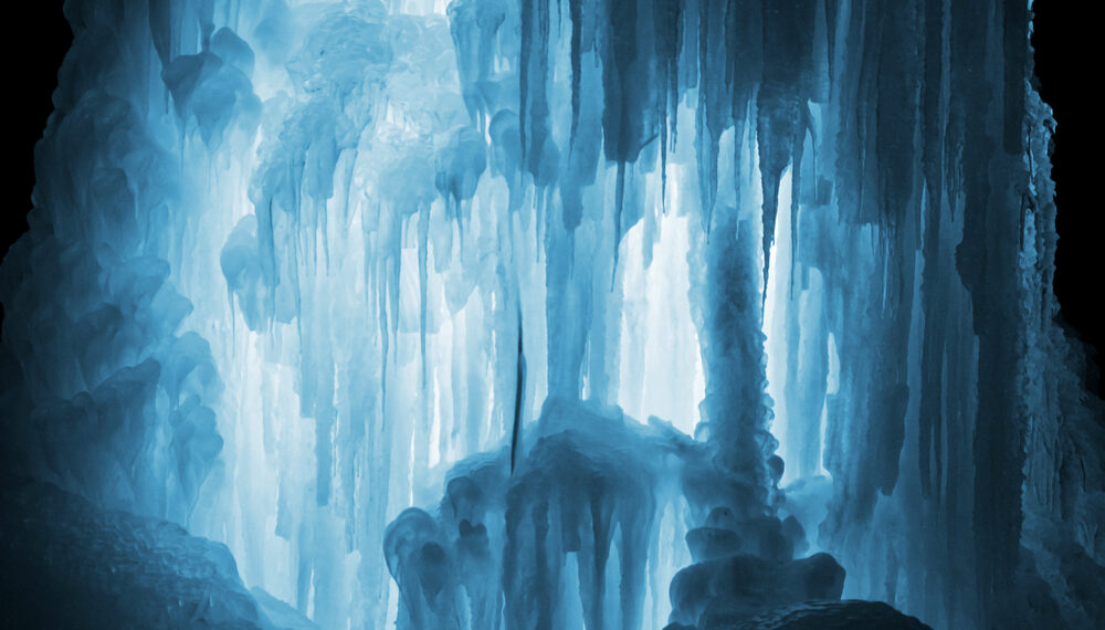 Shutterstock.com/ Mehaniq