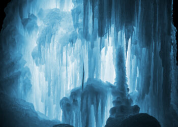 Shutterstock.com/ Mehaniq