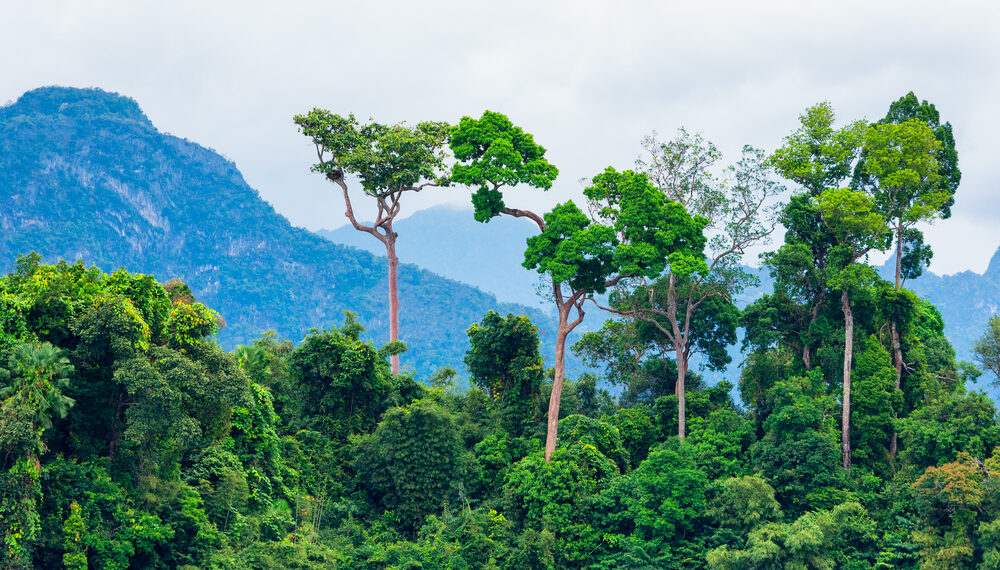 Shutterstock.com/ Sorn340 Studio Images