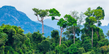 Shutterstock.com/ Sorn340 Studio Images